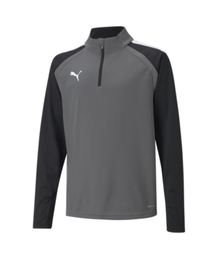 Puma TeamLiga 1/4 Zip Top