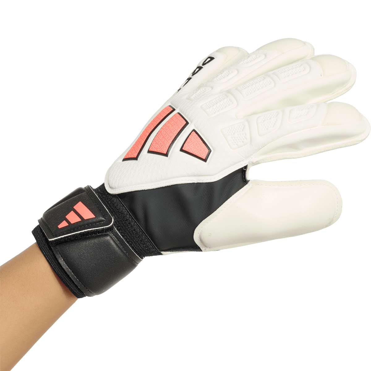 Adidas Predator Match Goalkeeper Gloves