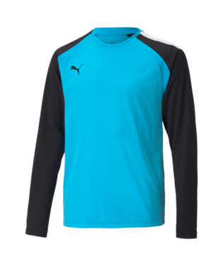 Puma TeamPacer Long-Sleeve Goalkeeper Jersey