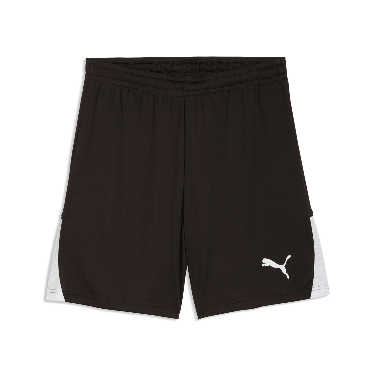 Puma Team Liga 26 Shorts