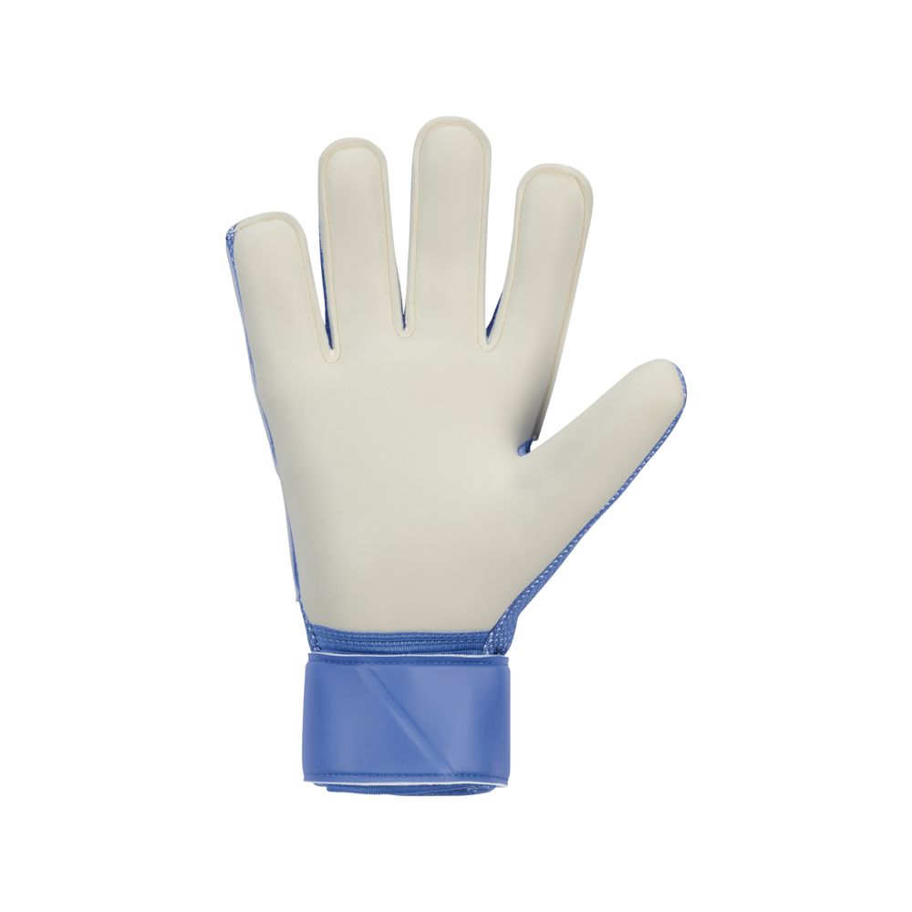 Nike Match Goalkeeper Gloves