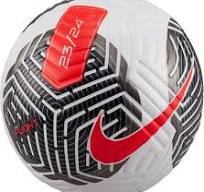 Nike Flight Soccer Ball