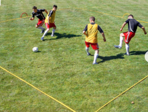 Kwik Goal Training Grid Set